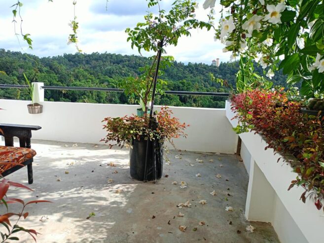 House for Sale in Kossinna