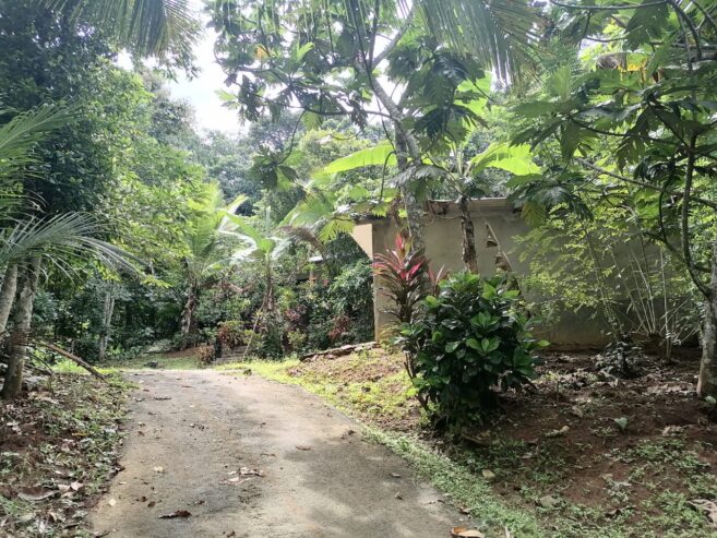 House with Land for Sale Near Pilimathalawa