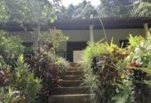 House with Land for Sale Near Pilimathalawa