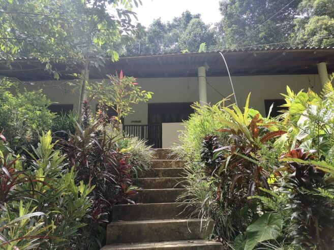 House with Land for Sale Near Pilimathalawa