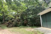 House with Land for Sale Near Pilimathalawa