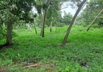 Land for Sale in Talalla
