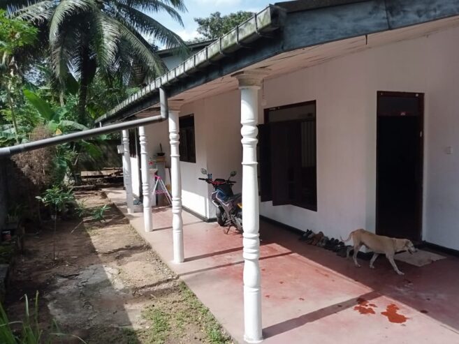 House For Sale In watareka