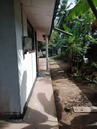 House For Sale In watareka