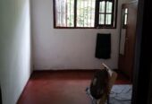 House For Sale In watareka