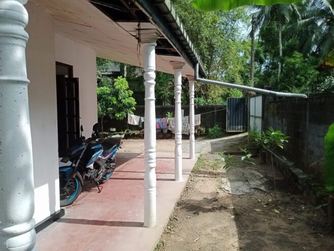 House For Sale In watareka