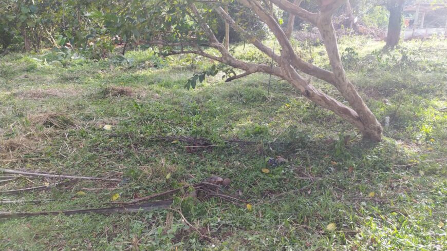 Land For Sale In Monaragala