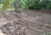 Land For Sale In Monaragala