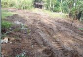 Land For Sale In Monaragala