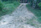 Land For Sale In Monaragala