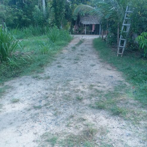 Land For Sale In Monaragala