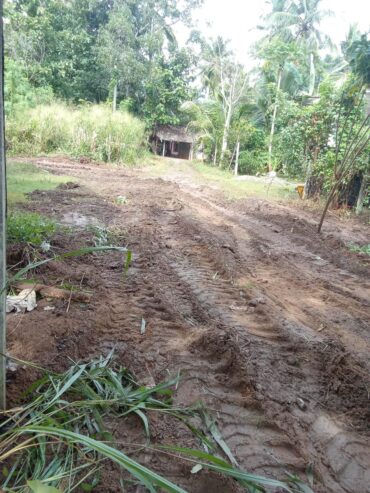 Land For Sale In Monaragala