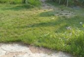 Land For Sale In Monaragala