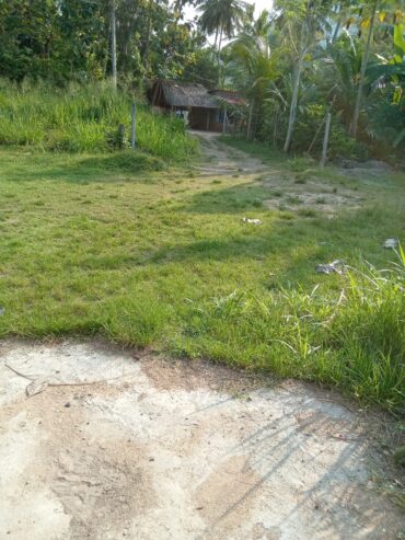 Land For Sale In Monaragala