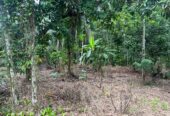Land For Sale In Padukka