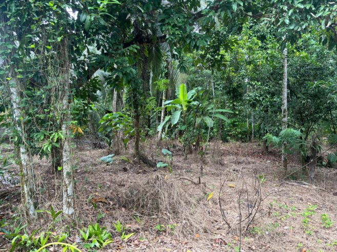 Land For Sale In Padukka