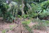 Land For Sale In Padukka