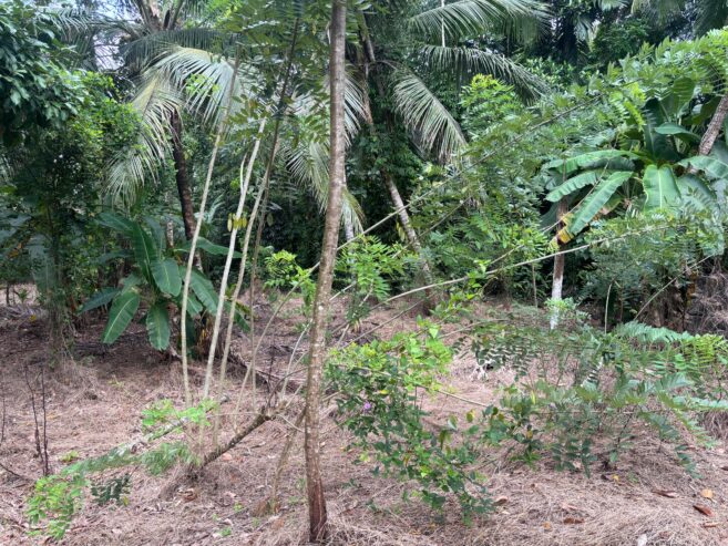 Land For Sale In Padukka