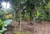 Land For Sale In Padukka