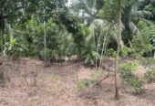 Land For Sale In Padukka