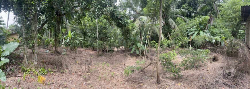 Land For Sale In Padukka