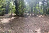 Land For Sale In Padukka