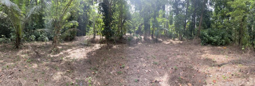 Land For Sale In Padukka