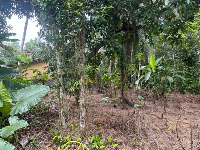 Land For Sale In Padukka