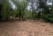 Land For Sale In Padukka