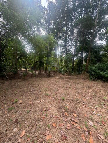 Land For Sale In Padukka