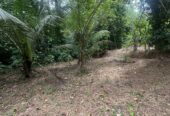 Land For Sale In Padukka