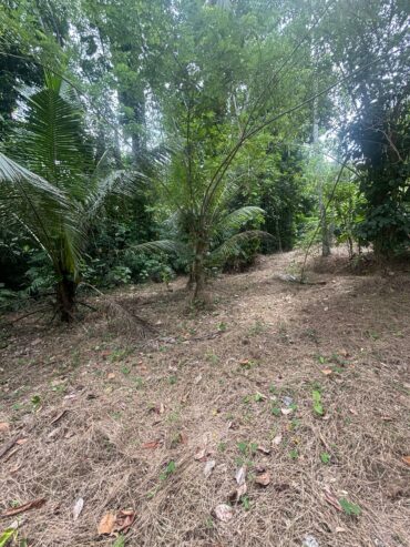 Land For Sale In Padukka