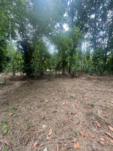 Land For Sale In Padukka