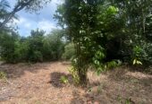 Land For Sale In Padukka