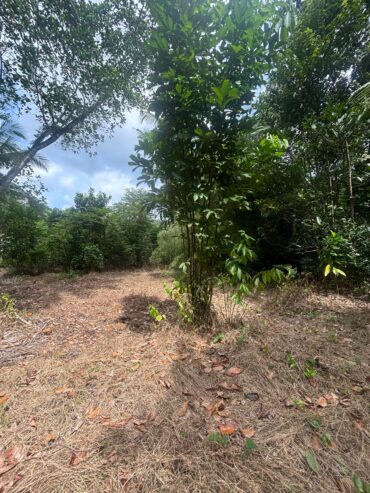 Land For Sale In Padukka