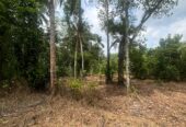 Land For Sale In Padukka