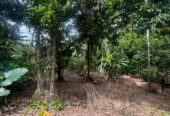 Land For Sale In Padukka
