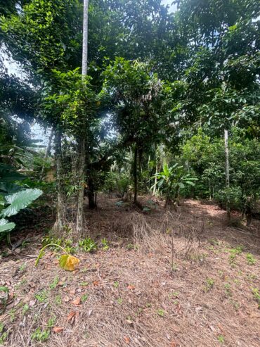 Land For Sale In Padukka
