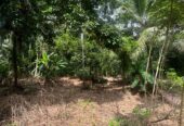 Land For Sale In Padukka