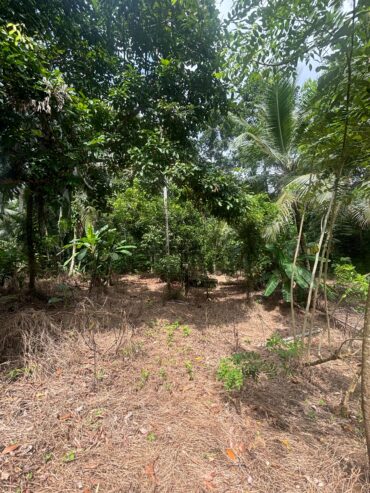 Land For Sale In Padukka