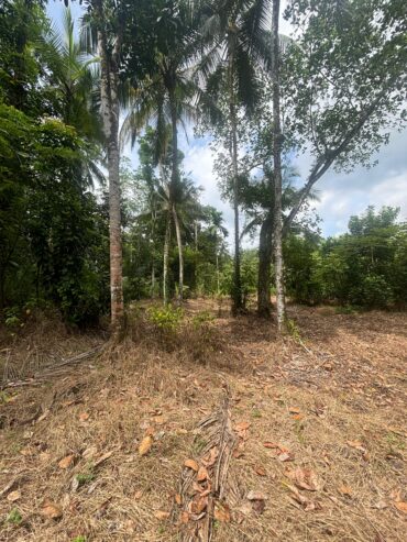 Land For Sale In Padukka
