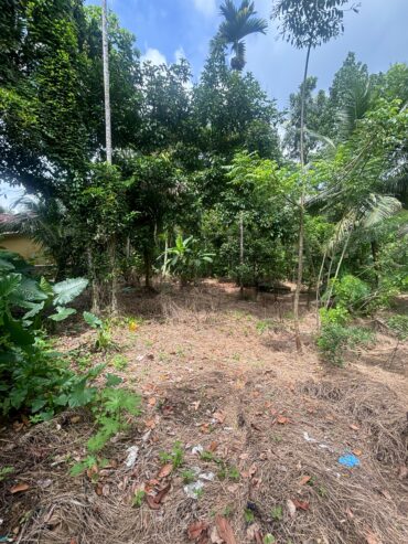 Land For Sale In Padukka
