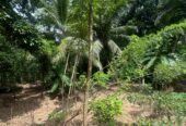 Land For Sale In Padukka