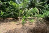 Land For Sale In Padukka