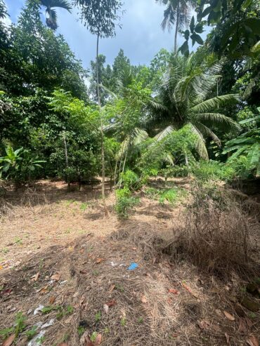 Land For Sale In Padukka