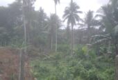 Coconut Land For Sale In Olaboduwa Pinnakolawatta