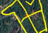 Coconut Land For Sale In Olaboduwa Pinnakolawatta