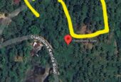 Coconut Land For Sale In Olaboduwa Pinnakolawatta