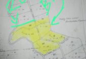 Coconut Land For Sale In Olaboduwa Pinnakolawatta