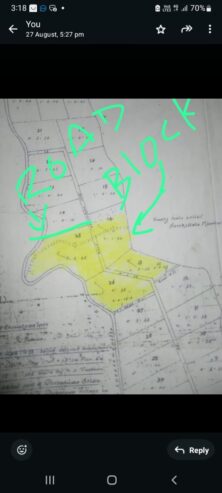 Coconut Land For Sale In Olaboduwa Pinnakolawatta